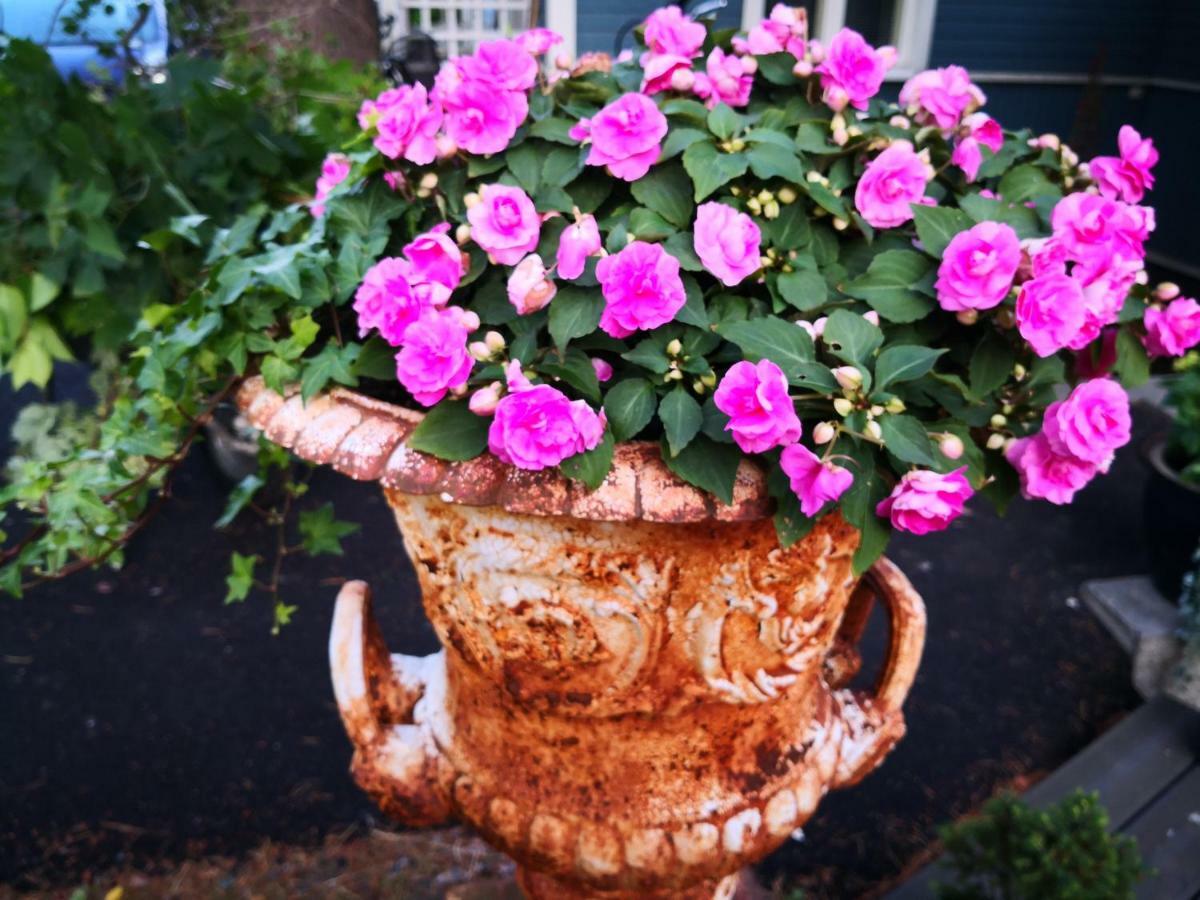 Lovely Mint Garden Studio Vantaa Bagian luar foto